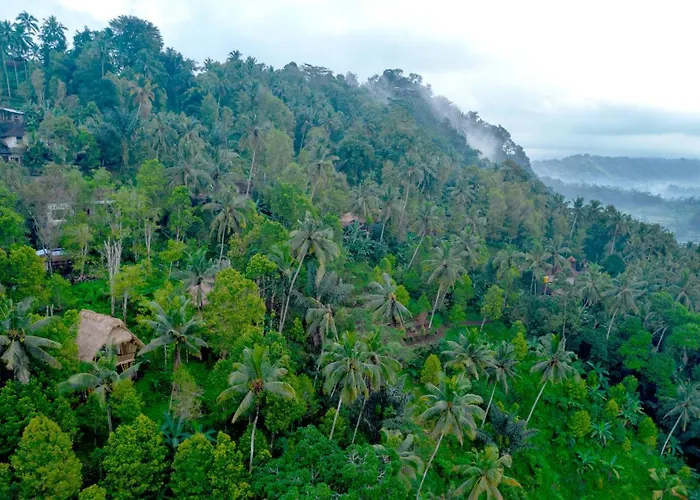 Ayo Hill By Samhita Bali 3*